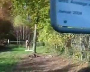 In de auto en buiten lucht word het blondje geneukt door de neger lul